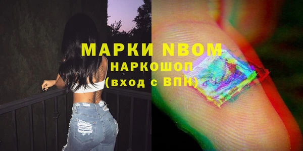 прущие грибы Новодвинск