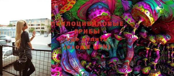 стаф Новокубанск