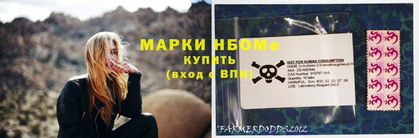 прущие грибы Новодвинск