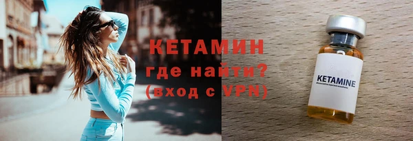 прущие грибы Новодвинск