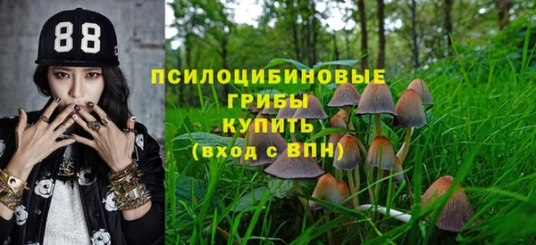 прущие крисы Нея