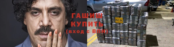 прущие грибы Новодвинск