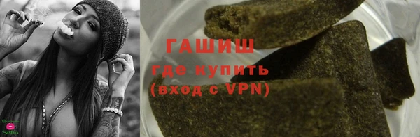прущие грибы Новодвинск