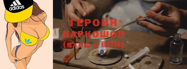 стаф Новокубанск