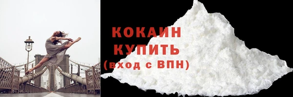 стаф Новокубанск