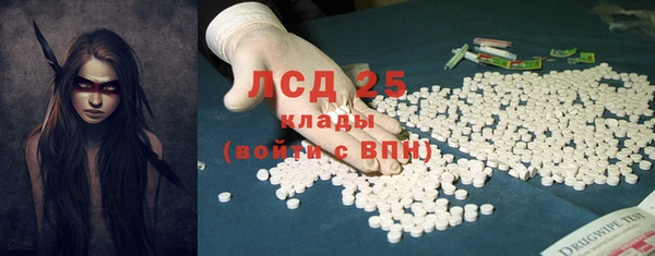стаф Новокубанск