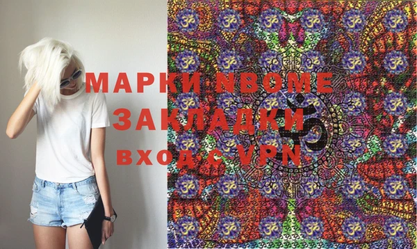 стаф Новокубанск