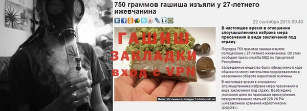 стаф Новокубанск