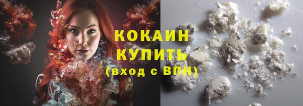прущие грибы Новодвинск