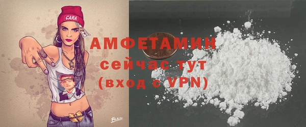 прущие грибы Новодвинск