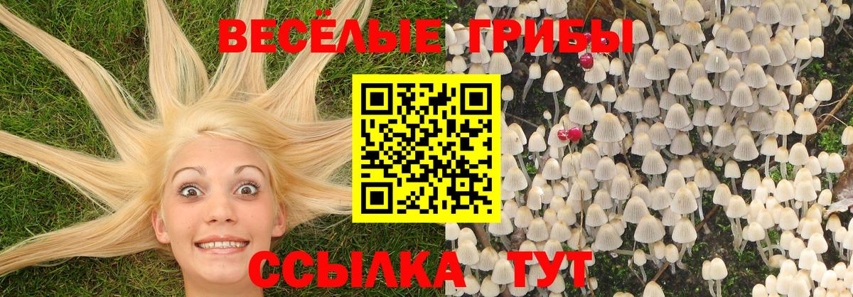 Псилоцибиновые грибы Magic Shrooms Североморск