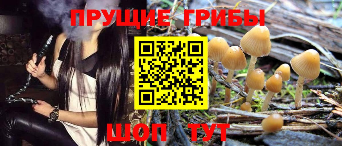 Североморск  Псилоцибиновые грибы прущие грибы  Вход с VPN 